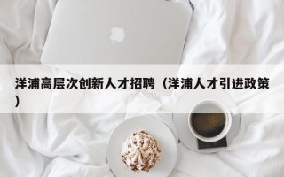 洋浦高层次创新人才招聘（洋浦人才引进政策）