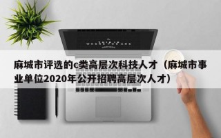 麻城市评选的c类高层次科技人才（麻城市事业单位2020年公开招聘高层次人才）