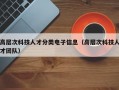 高层次科技人才分类电子信息（高层次科技人才团队）