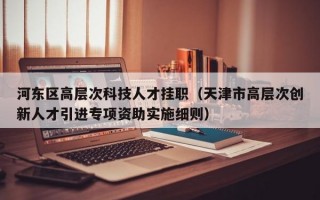 河东区高层次科技人才挂职（天津市高层次创新人才引进专项资助实施细则）