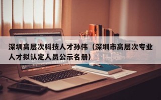 深圳高层次科技人才孙伟（深圳市高层次专业人才拟认定人员公示名册）