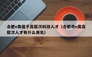 合肥e类属于高层次科技人才（合肥市e类高层次人才有什么用处）