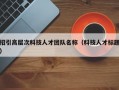 招引高层次科技人才团队名称（科技人才标题）